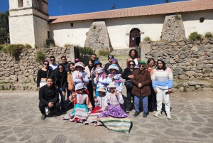 Arequipa: Full Day Tour to the Colca Canyon