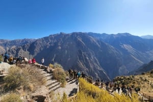 Arequipa: Full Day Tour to the Colca Canyon