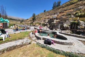 Arequipa: Full Day Tour to the Colca Canyon