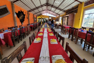 Arequipa: Full Day Tour to the Colca Canyon
