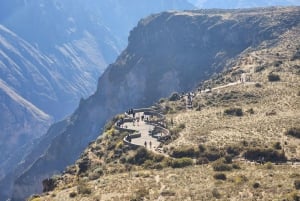 Arequipa: Colca Canyon Tour with Breakfast and Lunch