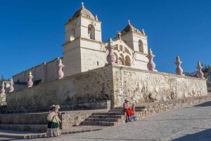 Arequipa: Fullday Colca Canyon + Lunch + Transfer to Puno