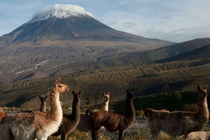 Arequipa: Misti Volcan | Climbing Misti Volcano Trek | 2D/1N