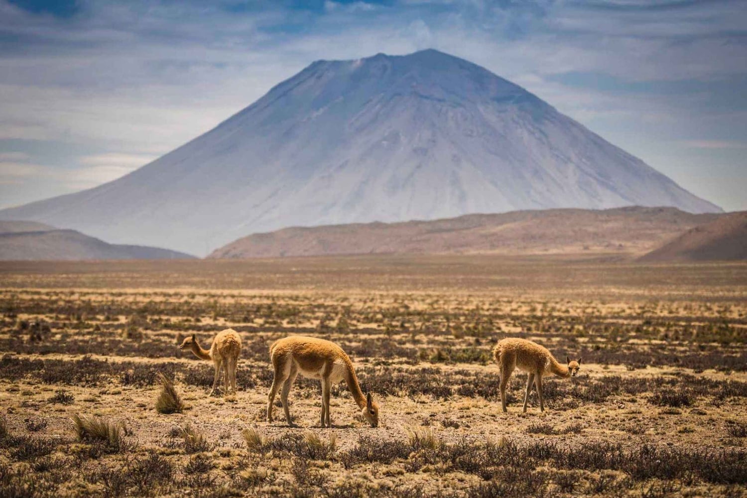 Arequipa: Misti Volcano Trek and City Walking Tour