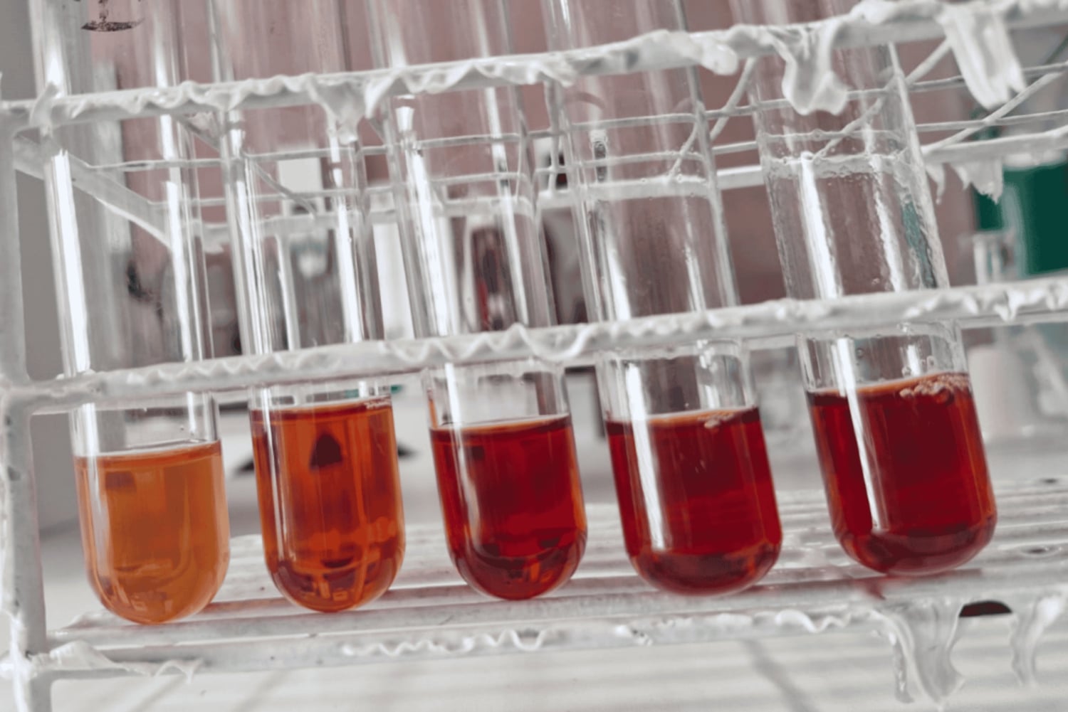 Arequipa: Natural Dye Lab Experience at CILQ