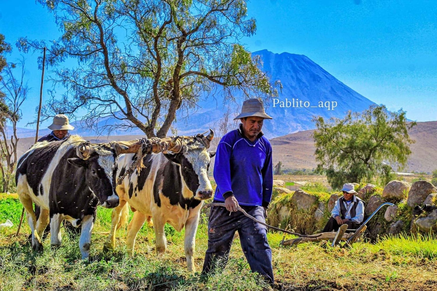 Arequipa: panoramautsikt över staden och sillarvägen