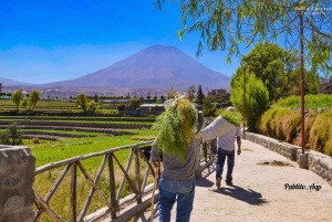 Arequipa: panoramautsikt över staden och sillarvägen