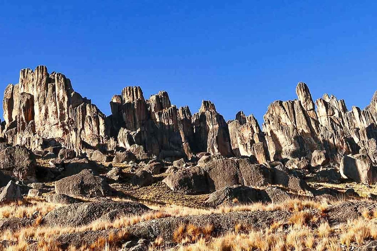 Arequipa : excursion d'une journée à la cascade de Pillones et à la forêt de pierre
