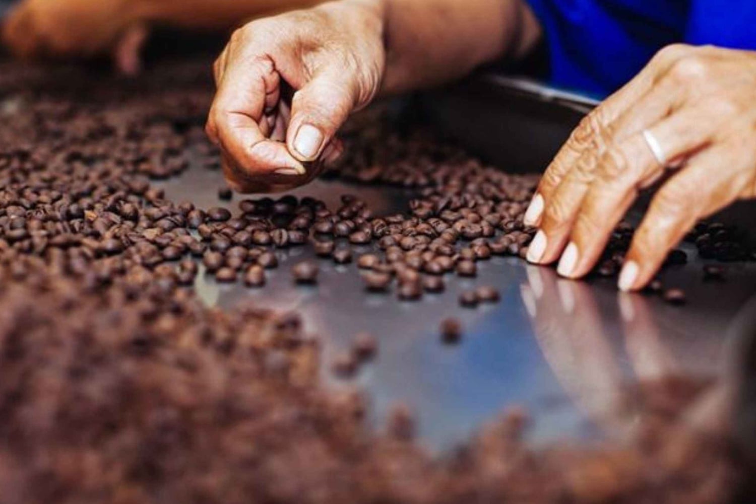 Arequipa : cascade de Pillones et atelier chocolat