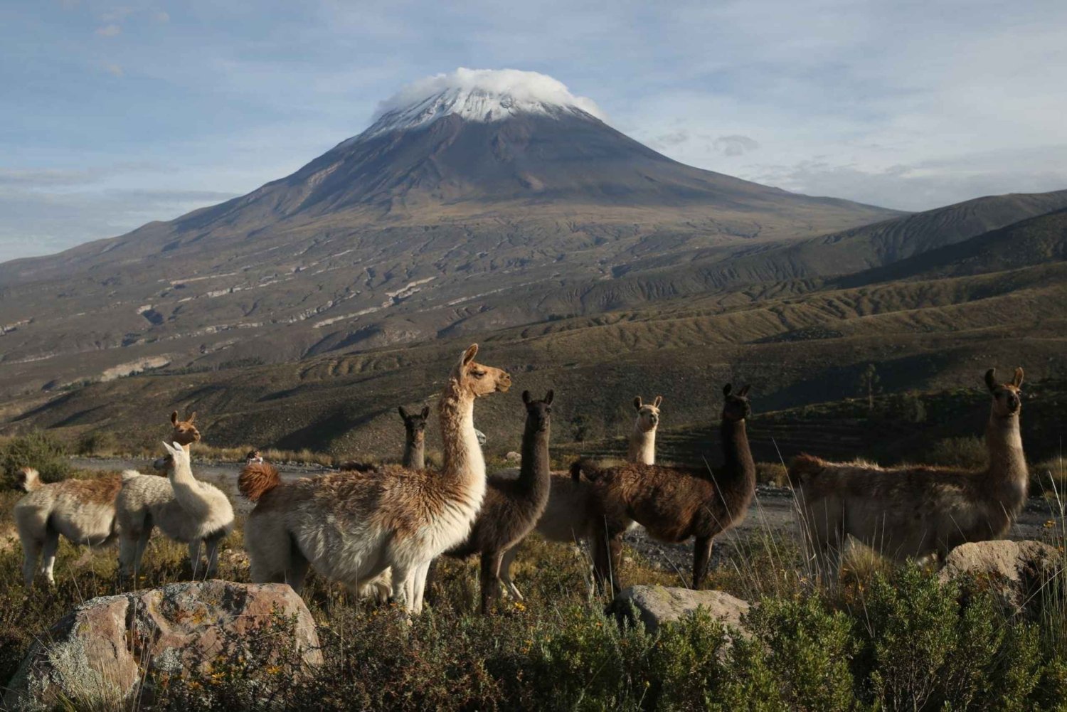 Arequipa: Rundtur til Salinas og Aguada Blanca med chokoladekursus
