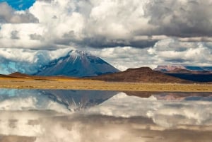 Arequipa: Tour a Salinas y Aguada Blanca con clase de chocolate