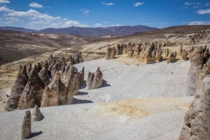 Arequipa: Tour a Salinas y Aguada Blanca con clase de chocolate