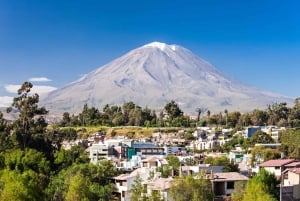 Arequipa: Salinas Lagoon Tour with Breakfast & Hot Springs