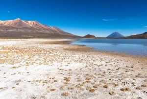 Arequipa: Excursão à Lagoa de Salinas Preço promocional