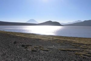 Arequipa: Excursão à Lagoa de Salinas Preço promocional