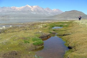 Arequipa: Excursão à Lagoa de Salinas Preço promocional