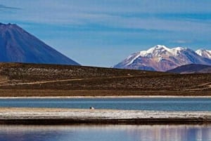 Arequipa: Excursão à Lagoa de Salinas Preço promocional