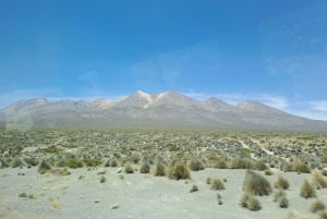 Arequipa: Sillar-ruten, steinbrudd + Culebrillas-vandring
