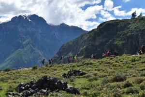 Arequipa: trekking al Cañón del Colca 2 días/1 noche
