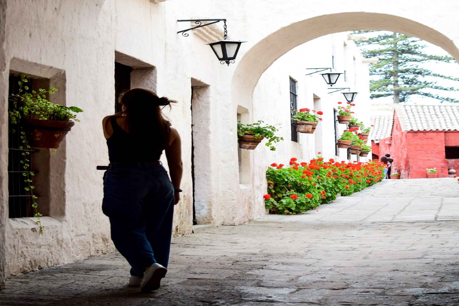 Arequipa Walking Tour and Santa Catalina Monastery