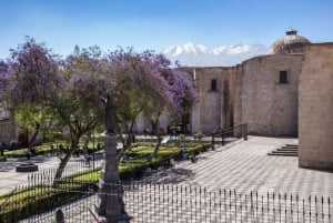 Arequipan kävelykierros ja Santa Catalinan luostari