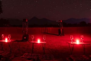 Atacama: Stargazing and Astronomy Tour