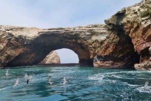ATV Avontuur Ballestas Eiland en Paracas Nationaal Reservaat