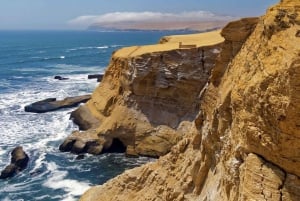 Paracas: Kør ATV og buggy i Paracas-reservatet