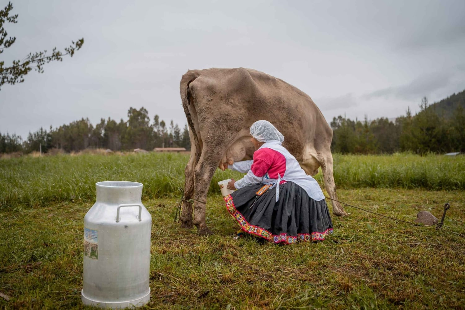 Ausangate: Turismo astronómico en 2 Días