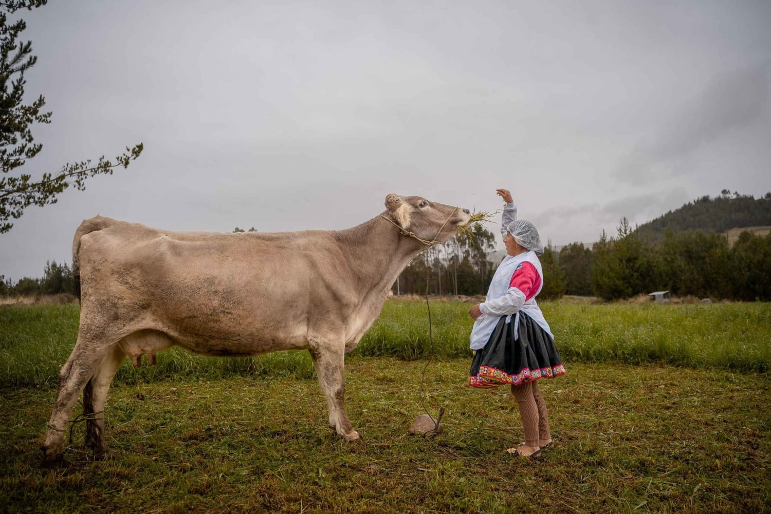 Ausangate: Turismo astronómico en 2 Días