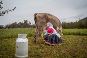 Ausangate: Turismo astronómico en 2 Días