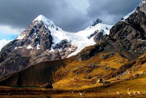 Ausangate Trek 4 Days/3 Nights