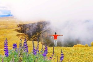 Ayacucho: Dare to Descend into the Abyss of Puncupata