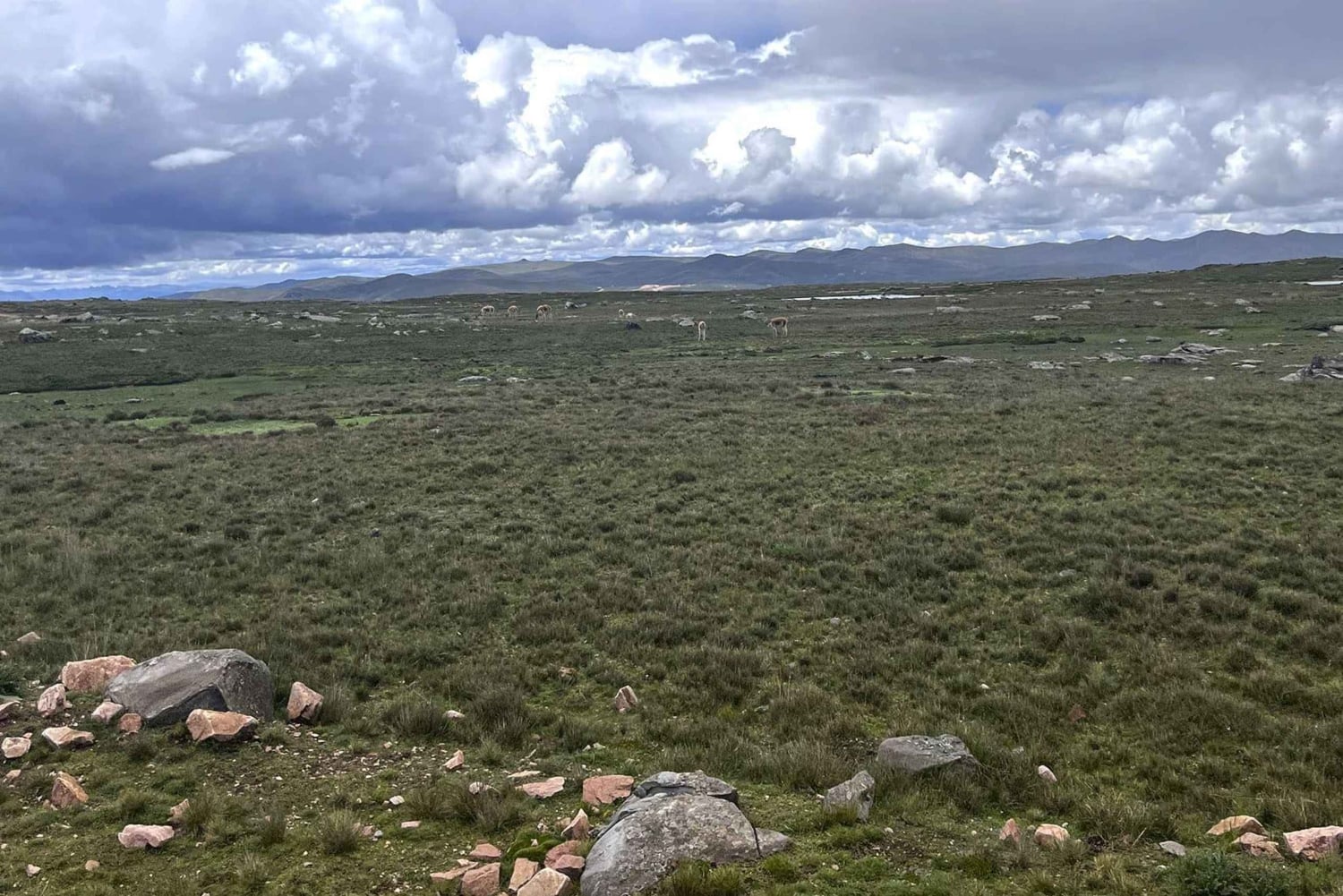 Ayacucho: Tour zum Puncupata-Abgrund