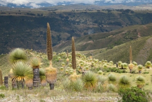 Ayacucho | Relax at Collpa Thermal Pools | Aguas termales