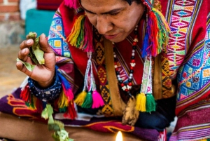 Ayahuasca-ceremoni 1 dag i Cusco