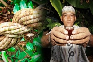Cerimônia de ayahuasca de 1 dia em Cusco