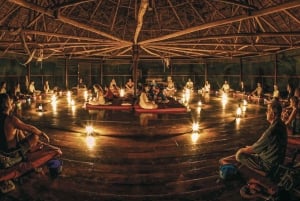Ayahuasca Ceremony One Day or One Night