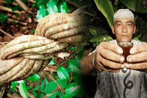 Ayahuasca Vijf Dagen