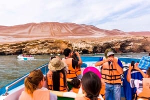 Ballestas-Huacachina oase og overflyvning i Nasca fra Lima