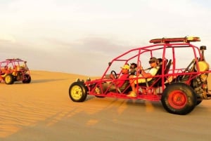 Ballestas-Huacachina oase og overflyvning i Nasca fra Lima
