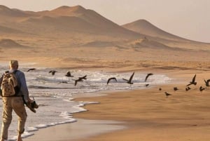Ballestas Eilanden en Paracas Reservaat - Hele Dag Ontsnappen