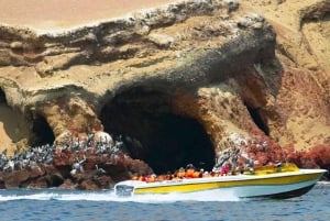 Wyspy Ballestas i rezerwat Paracas - całodniowa ucieczka