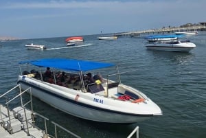 Ballestas Islands from Pisco - CRUISESHIP TERMINAL