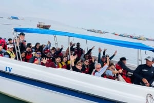 Ballestas Islands from Pisco - CRUISESHIP TERMINAL