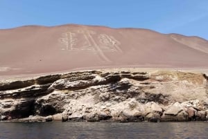 Ballestas Islands from Pisco - CRUISESHIP TERMINAL