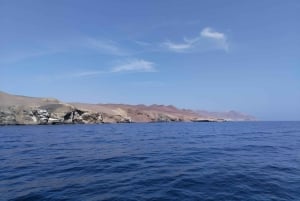 Ballestas Islands from Pisco - CRUISESHIP TERMINAL