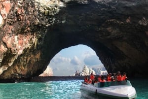 Ballestas Islands & Paracas National Reserve Day Trip