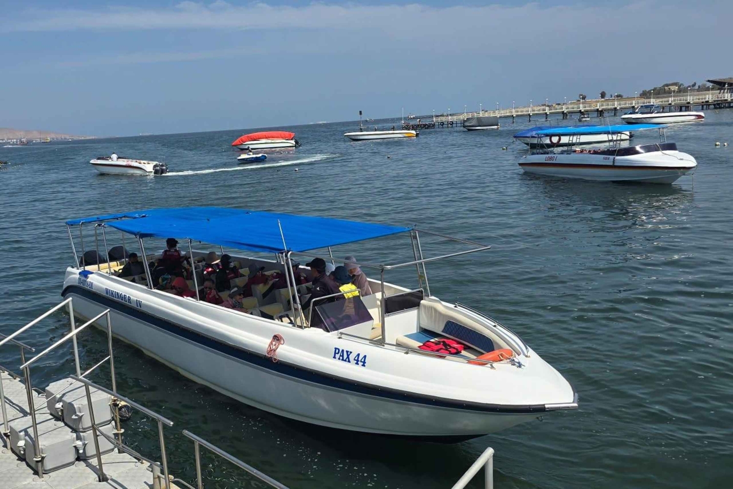 Ballestas & Paracas Reserve from PISCO CRUISESHIP TERMINAL