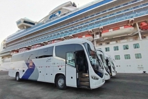 Ballestas & Paracas Reserve from PISCO CRUISESHIP TERMINAL